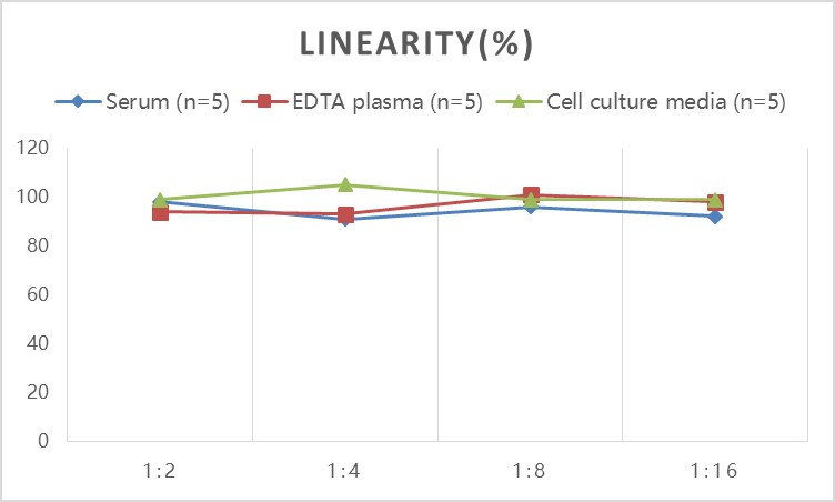 Mouse ANG1(Angiopoietin 1) ELISA Kit - small - 2