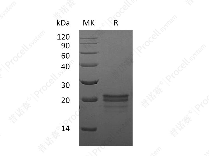 https://789.bio/ec/O4KZuP