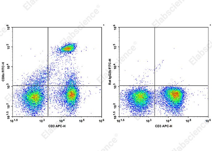 FITC Anti-Mouse CD8a Antibody[YTS 105.18]-1