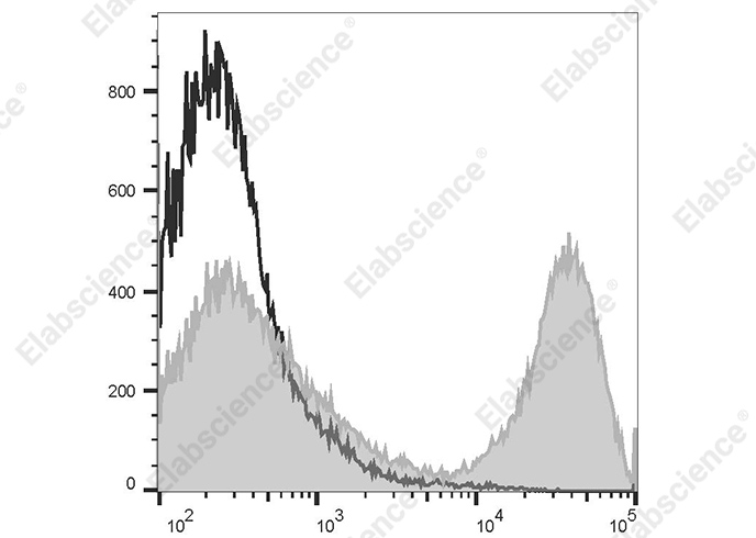 Elab Fluor® 647 Goat Anti-Rat IgG (H+L) Antibody[Poly1441]-1