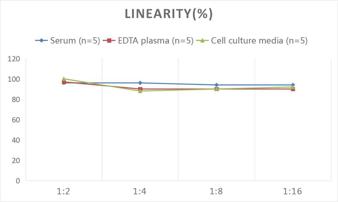Mini Sample Mouse ANG2 ( Angiopoietin 2 ) ELISA Kit-产品推荐-1