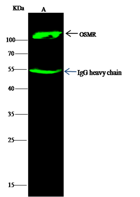 loading