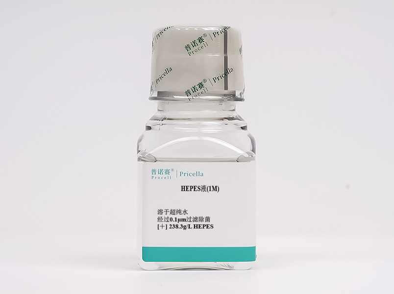 https://789.bio/ec/O8d9xP