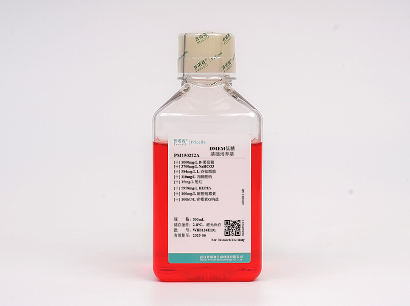https://789.bio/ec/O8hqeD