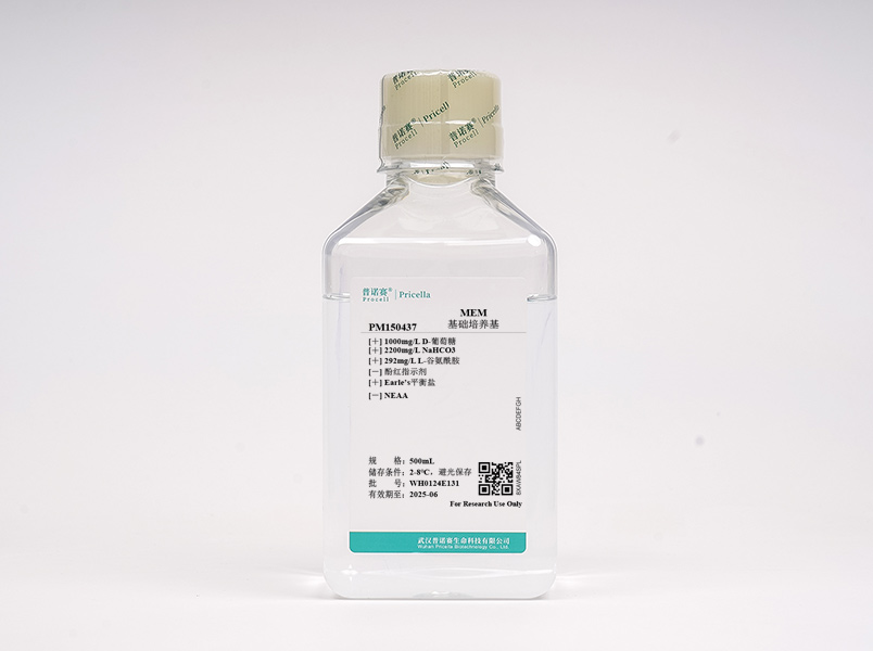 https://789.bio/ec/O8xDKC