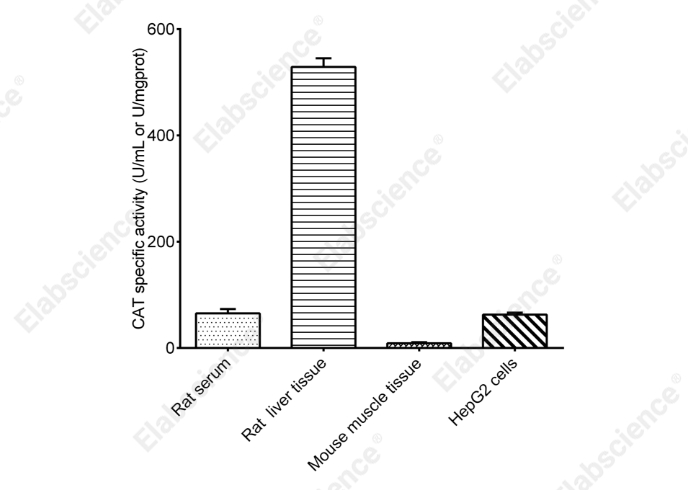 Catalase (CAT) Activity Assay Kit - 2