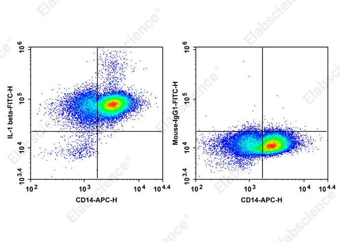 FITC Anti-Human IL-1 beta Antibody[CRM56]-searchlist-1