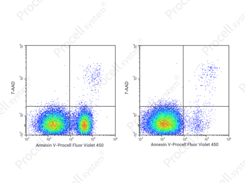 Annexin V-Procell Fluor Violet 450/7-AAD Apoptosis Kit