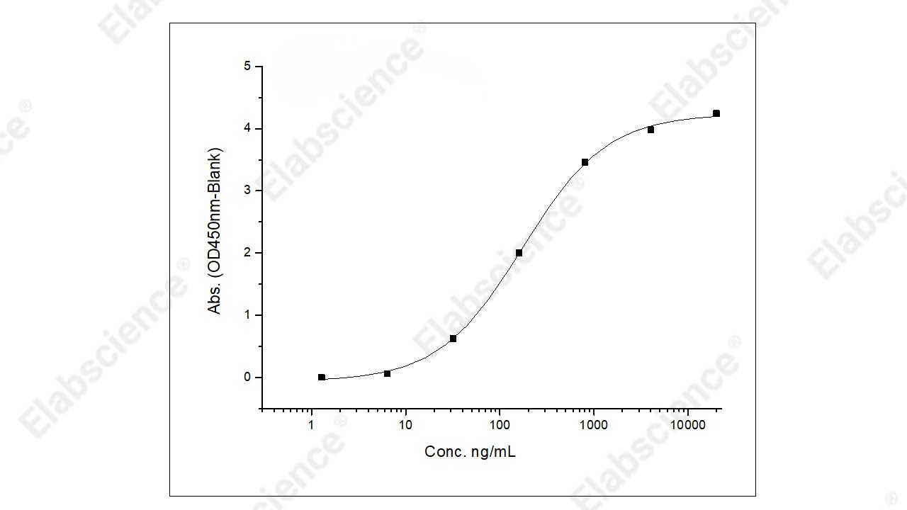 Recombinant Human HER3/ErbB3 Protein (His Tag) - 2