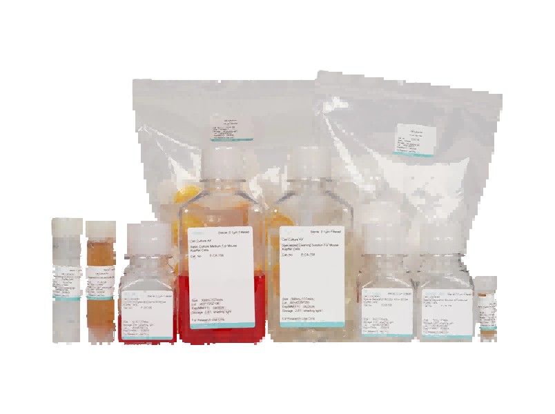 Mouse Kupffer Cell Isolation and Culture KitMouse Kupffer Cell Isolation and Culture Kit - 2
