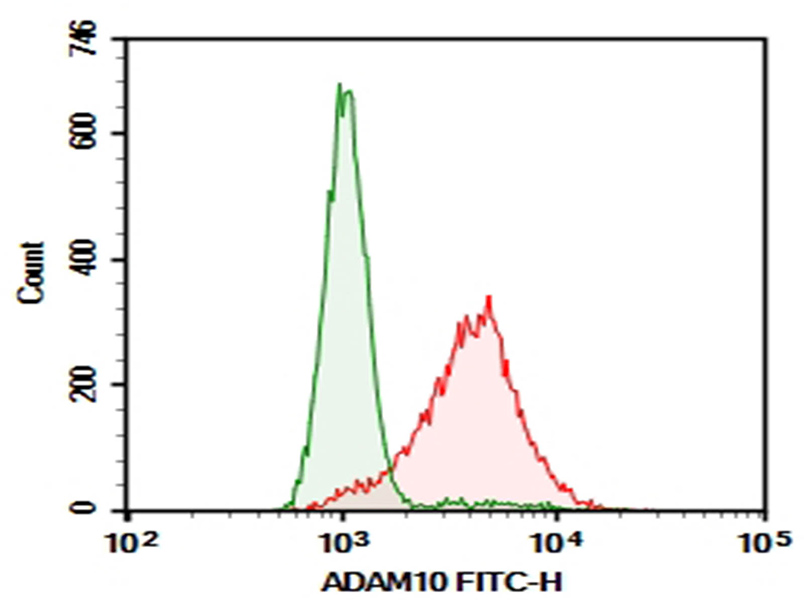 Purified Anti-Human ADAM10 Antibody[11G2]-1