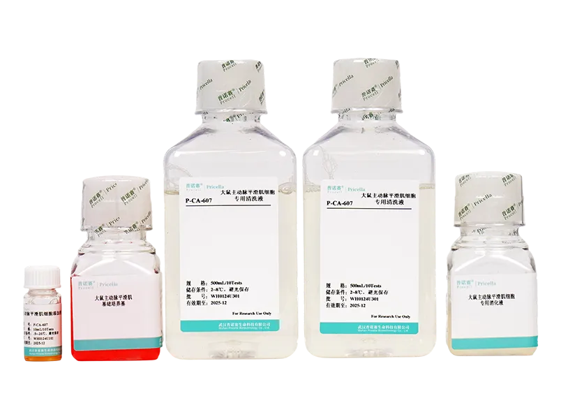https://789.bio/ec/OGZDKC