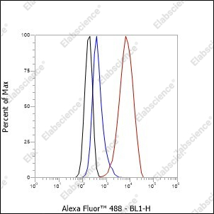 Recombinant S100A1 Monoclonal Antibody - 5