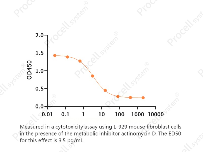 TNF-α/TNFA/TNFSF2, Rabbit, RecombinantTNF-α/TNFA/TNFSF2, Rabbit, Recombinant - 2