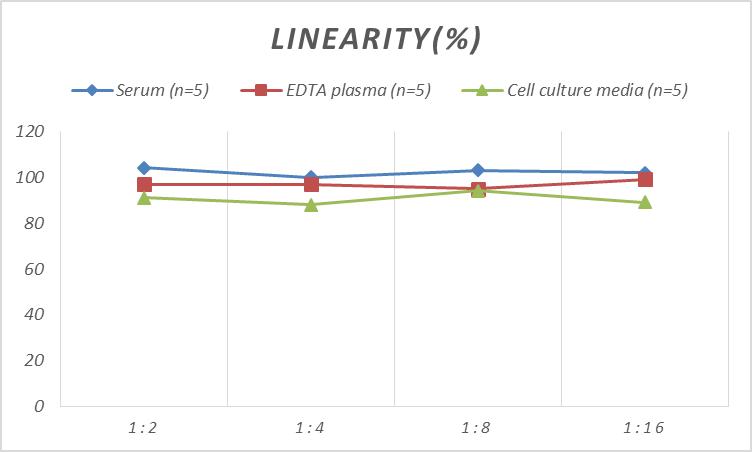 QuicKey Pro Human FE(Ferritin) ELISA Kit-产品推荐-1