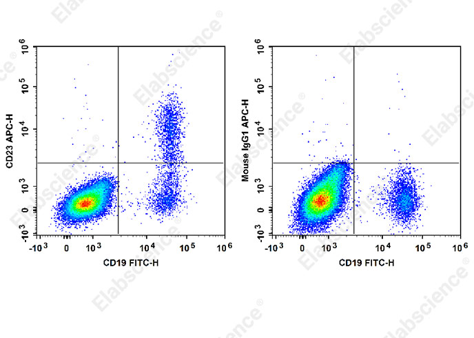 APC Anti-Human CD23 Antibody[EBVCS2]-1