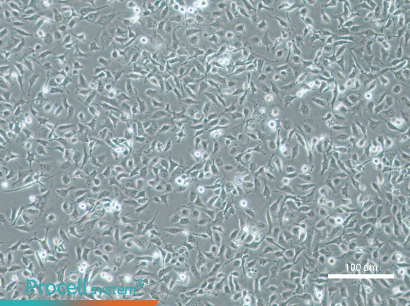 HBE135-E6E7 - 1
