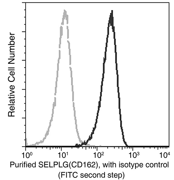 Recombinant PSGL-1/CD162/SELPLG Monoclonal Antibody - small - 3