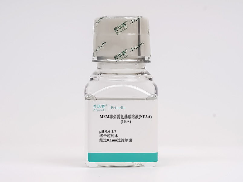 https://789.bio/ec/OVLle5