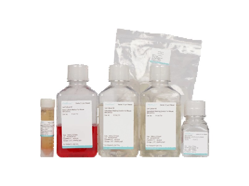 Mouse Bone Marrow-Derived Endothelial Progenitor Cell Isolation and Culture KitMouse Bone Marrow-Derived Endothelial Progenitor Cell Isolation and Culture Kit - 2