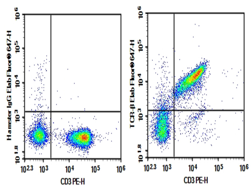 Purified Anti-Mouse TCRβ Antibody[H57-597]-1