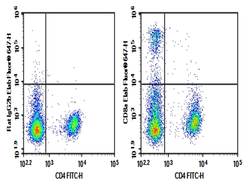 Purified Anti-Mouse CD8a Antibody[YTS 105.18]-1