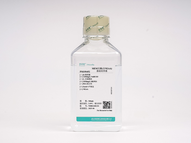 https://789.bio/ec/OZaWL4