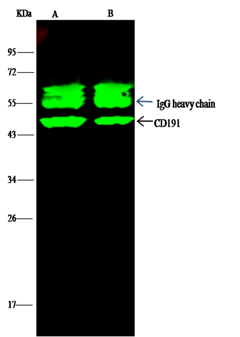 loading