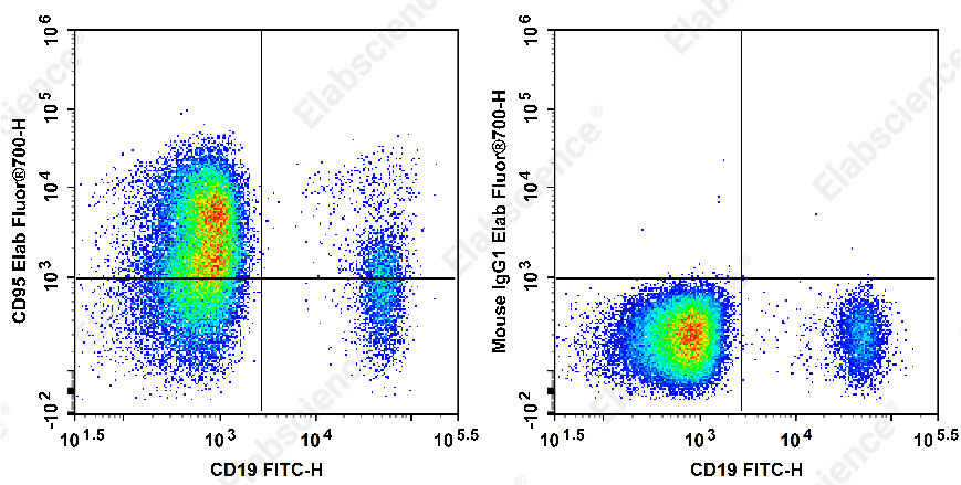 Elab Fluor® 700 Anti-Human CD95/Fas Antibody[DX2]-1