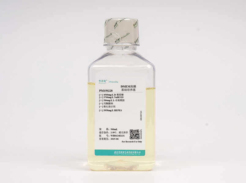 https://789.bio/ec/OdmPC4