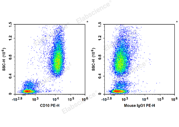 Human peripheral blood leucocytes are stained with PE Anti-Human CD10 Antibody (Left). Leucocytes are stained with PE Mouse IgG1, κ Isotype Control (Right).