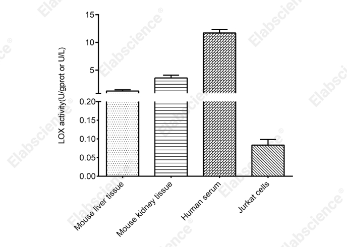 Lipoxygenase (LOX) Activity Fluorometric Assay Kit - 2