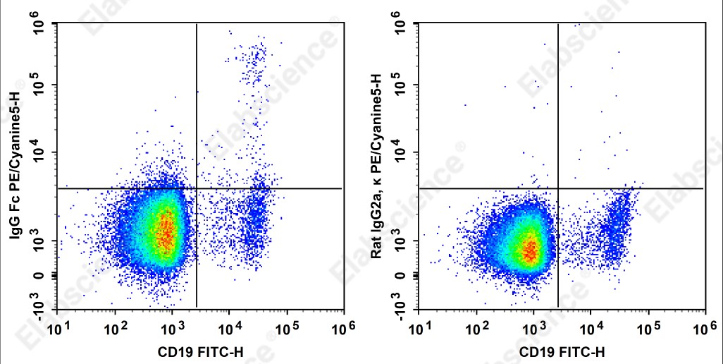 PE/Cyanine 5 Anti-Human IgG Fc Antibody[M1310G05] - 1