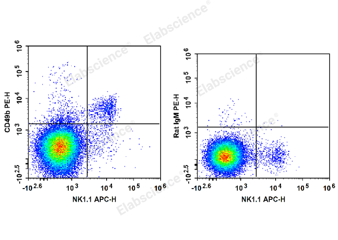 C57BL/6 murine splenocytes are stained with APC Anti-Mouse CD161/NK1.1 Antibody and PE Anti-Mouse CD49b Antibody (Left). Splenocytes are stained with APC Anti-Mouse CD161/NK1.1 Antibody and PE Rat IgM, κ Isotype Control (Right).