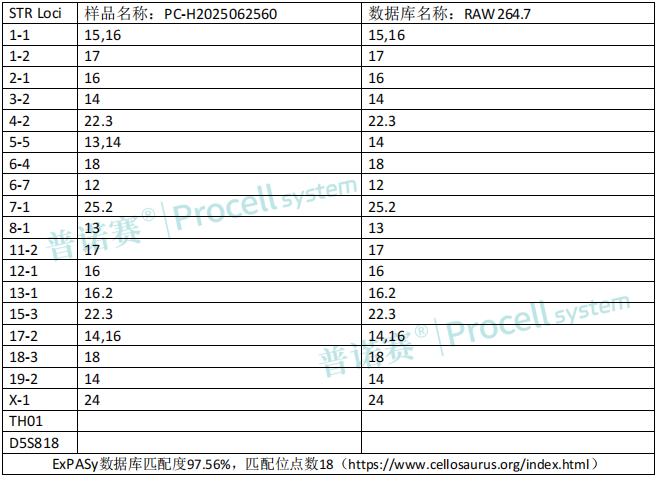 photo1