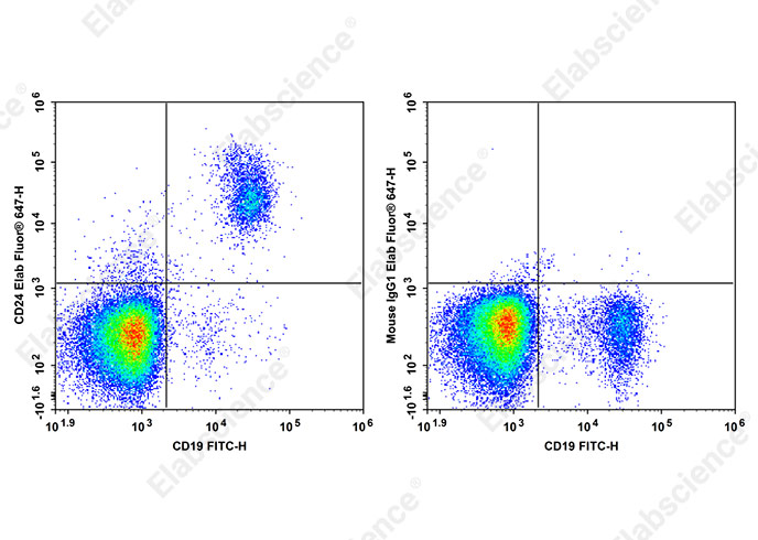 Elab Fluor® 647 Anti-Human CD24 Antibody[HIQB24]-1