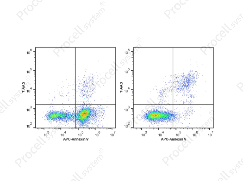Annexin V-APC/7-AAD Apoptosis KitAnnexin V-APC/7-AAD Apoptosis Kit - 1