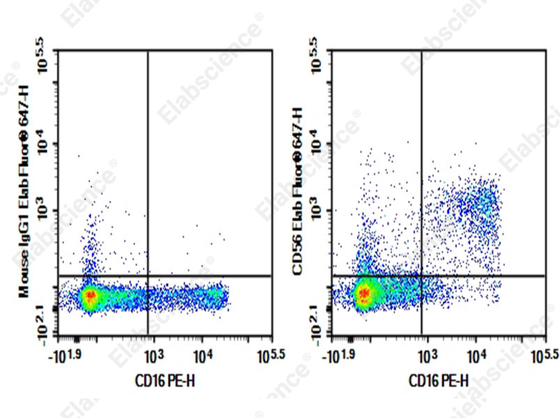 Purified Anti-Human CD56 Antibody[MY31] - 1