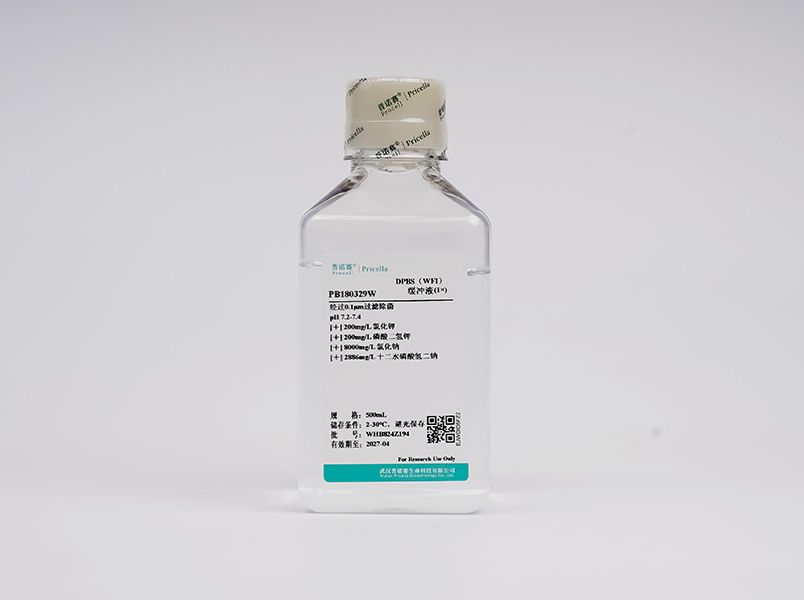 https://789.bio/ec/Ox9Rp9