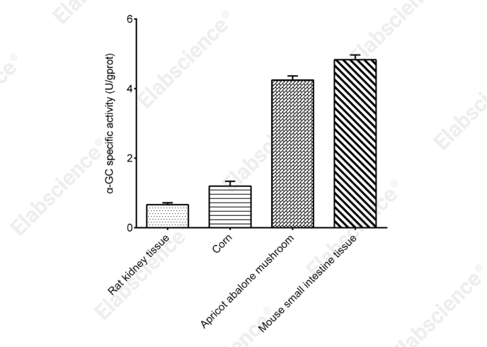 α-Glucosidase (α-GC) Activity Assay Kit - 2