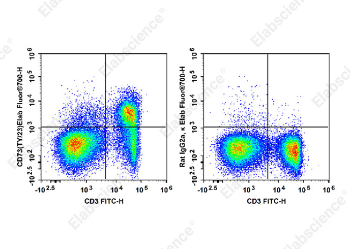 Elab Fluor® 700 Anti-Mouse CD73 Antibody[TY/23]-1