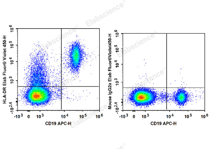 Human peripheral blood lymphocytes are stained with APC Anti-Human CD19 Antibody and Elab Fluor® Violet 450 Anti-Human HLA-DR Antibody (Left). Lymphocytes are stained with APC Anti-Human CD19 Antibody and Elab Fluor® Violet 450 Mouse IgG2a, κ Isotype Control (Right).