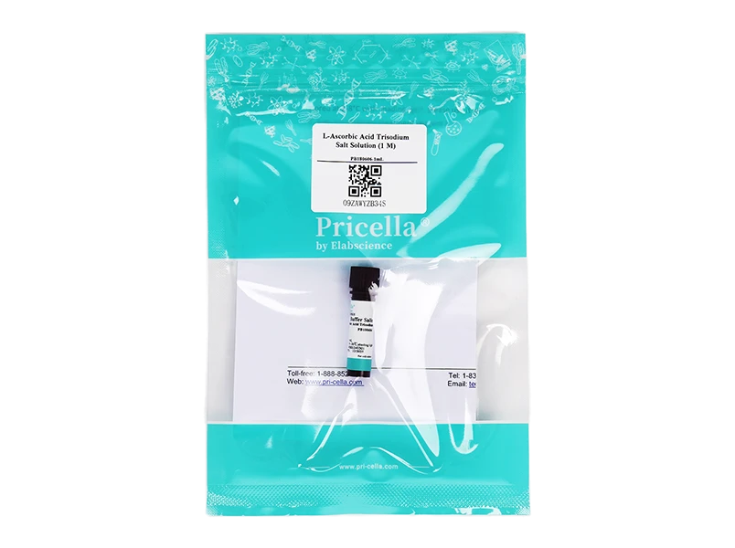 https://789.bio/ec/P0K4VH