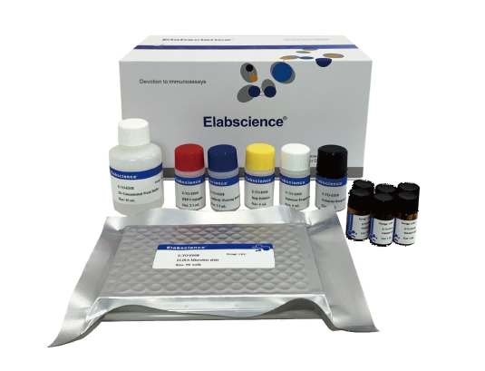 ENR (Enrofloxacin) ELISA Kit - 1