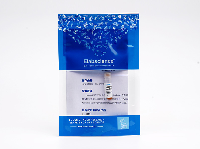 Human CD3/CD28 T Cell Activation Beads