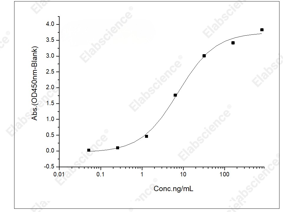 Recombinant Mouse CTLA4/CD152 Protein (Fc Tag) - 2