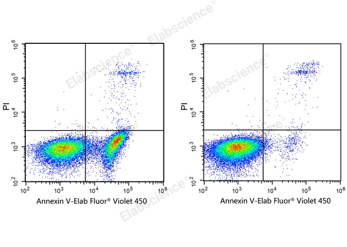 Annexin V-Elab Fluor® Violet 450 Reagent-1