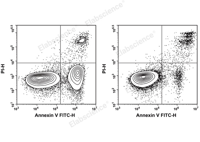 Annexin V-FITC/PI Apoptosis Kit-1