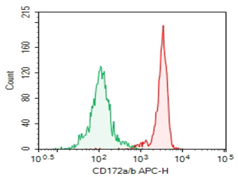 Purified Anti-Human CD172a/b Antibody[SE5A5] - 1