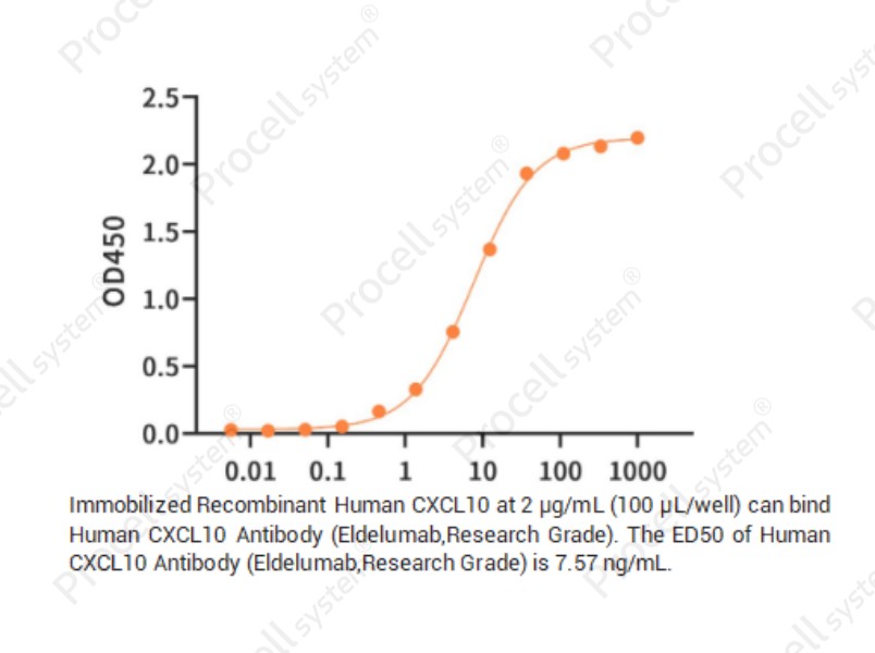 CXCL10/IP-10/Crg-2, Human, RecombinantCXCL10/IP-10/Crg-2, Human, Recombinant - 2